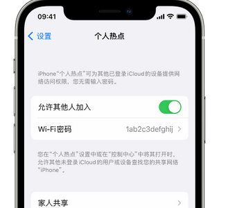 德令哈apple服务站点分享iPhone上个人热点丢失了怎么办 