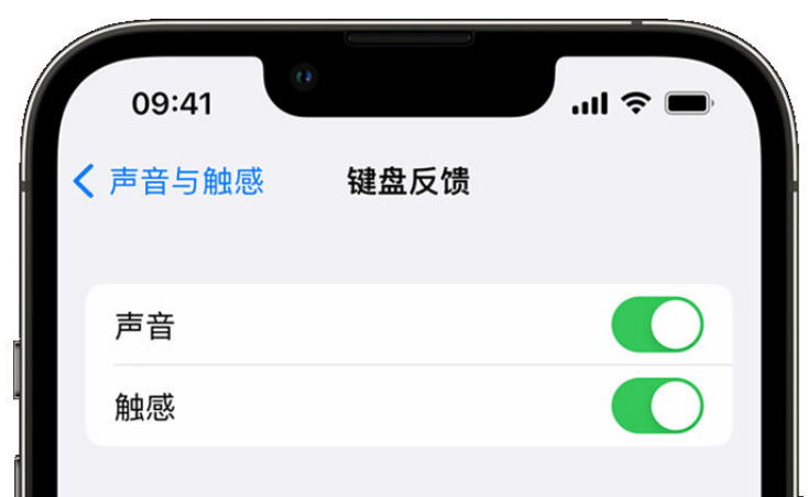 德令哈苹果手机维修分享iPhone 14触感键盘使用方法 