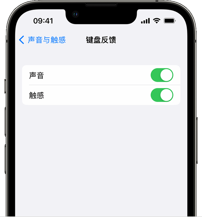 德令哈苹果14维修店分享如何在 iPhone 14 机型中使用触感键盘 