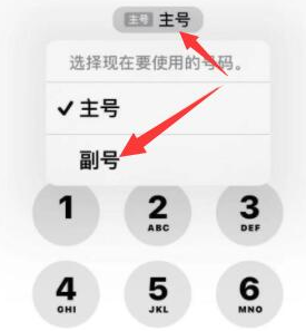 德令哈苹果14维修店分享iPhone 14 Pro Max使用副卡打电话的方法 