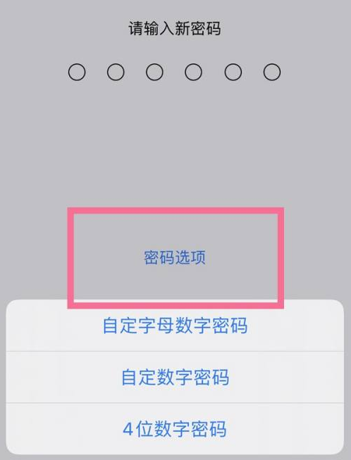 德令哈苹果14维修分享iPhone 14plus设置密码的方法 