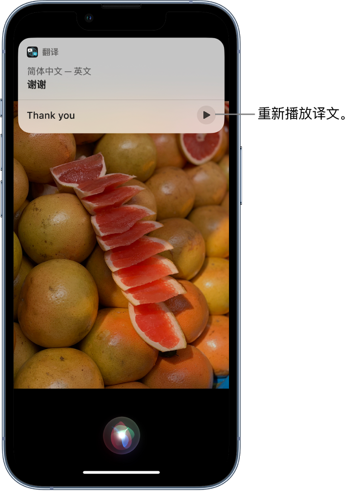 德令哈苹果14维修分享 iPhone 14 机型中使用 Siri：了解 Siri 能帮你做什么 