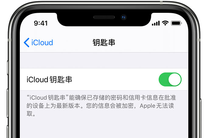 德令哈苹果手机维修分享在 iPhone 上开启 iCloud 钥匙串之后会储存哪些信息 