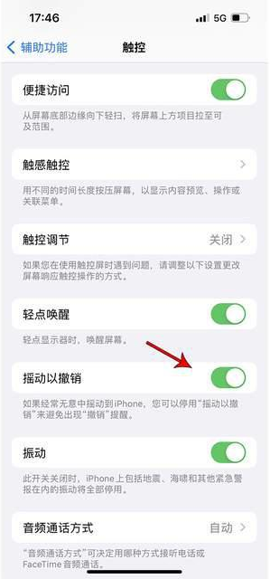 德令哈苹果手机维修分享iPhone手机如何设置摇一摇删除文字 