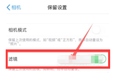 德令哈苹果13维修分享iPhone13拍照有绿点是怎么回事 