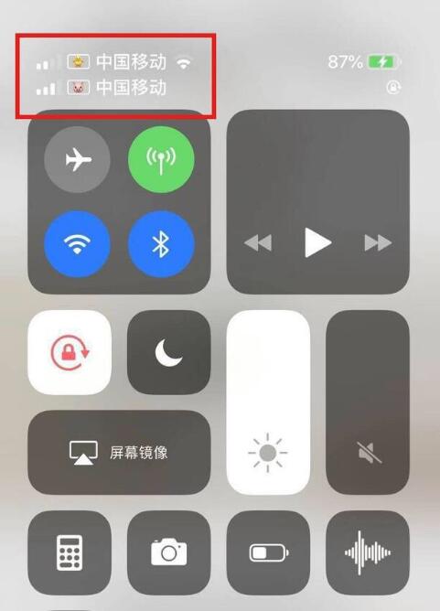 德令哈苹果手机维修分享为 iPhone 12 双卡设置标签 